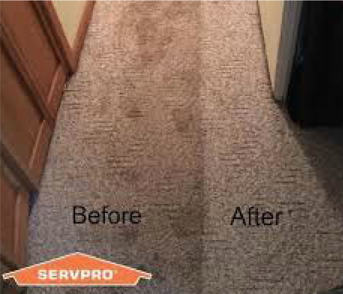 Carpets before and after being cleaned.