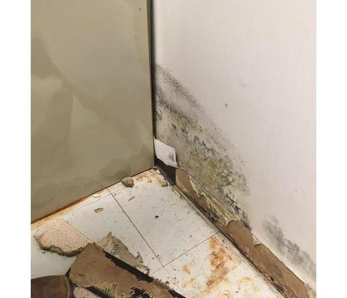 Hole on a wall due to water leak caused mold growth