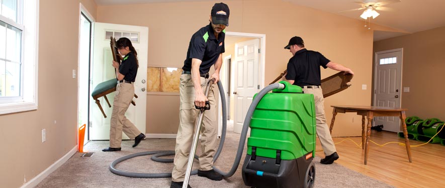 The Woodlands, TX cleaning services