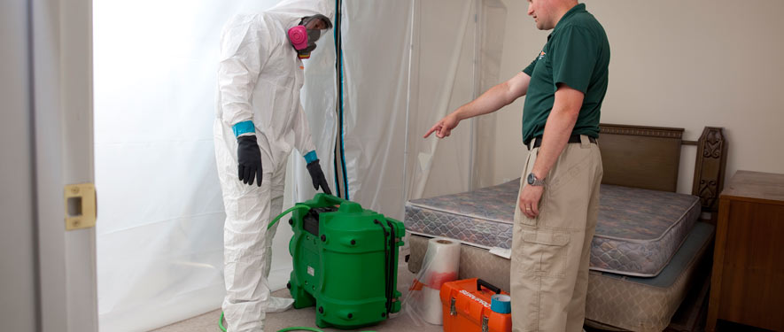 The Woodlands, TX mold removal process